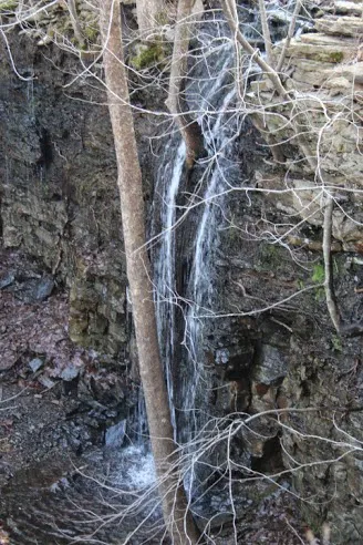 Golden Pond RV Park- Coast to Coast Picture 3