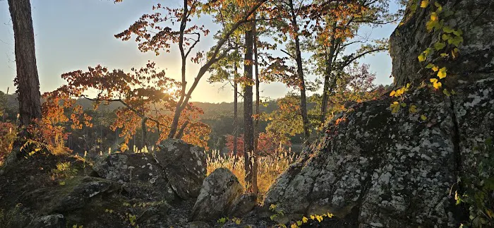 Williams Rock Picture 9