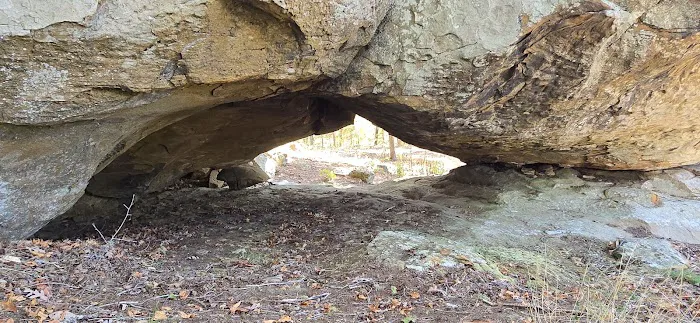 Williams Rock Picture 10