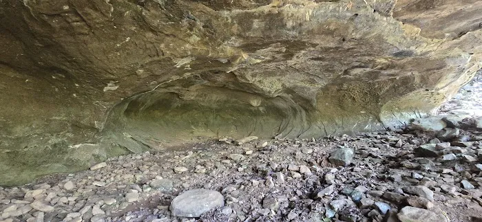 Williams Rock Picture 7