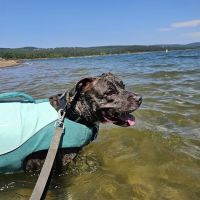 Mill Creek Campsite ico
