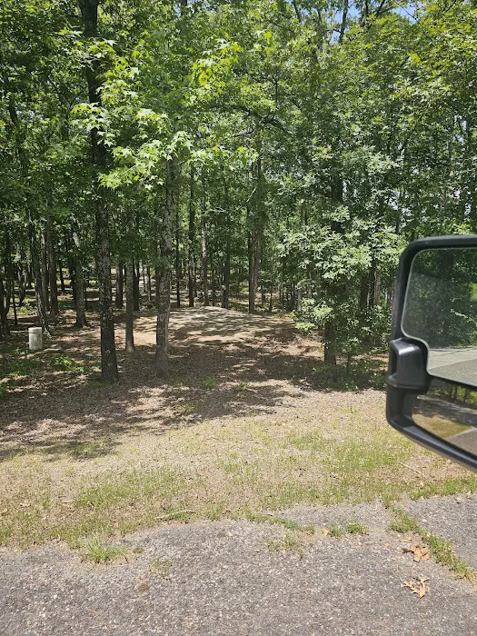 Mill Creek Campsite Picture 3