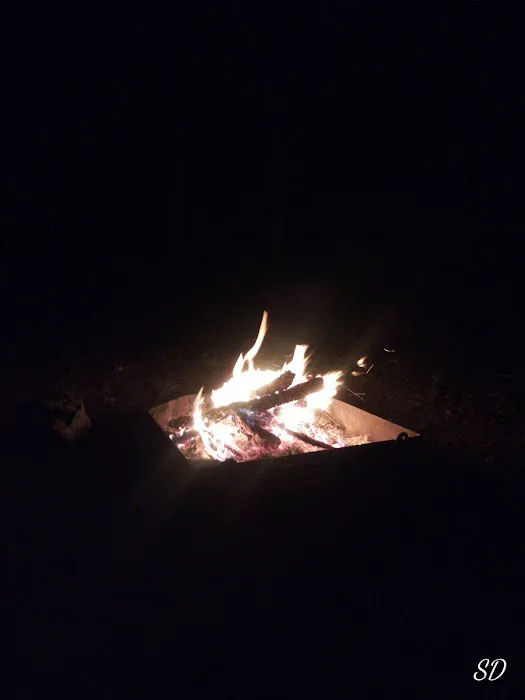 Mill Creek Campsite Picture 5