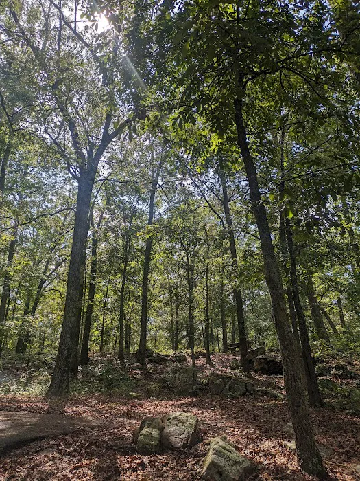 Mill Creek Campsite Picture 9