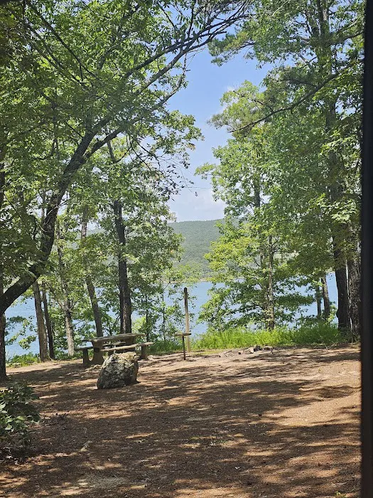 Mill Creek Campsite Picture 8