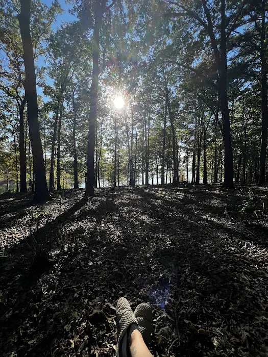 Devils Fork Recreation Area Picture 3