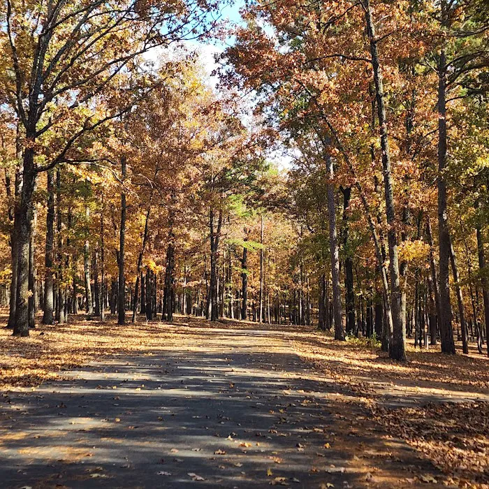 Devils Fork Recreation Area Picture 9