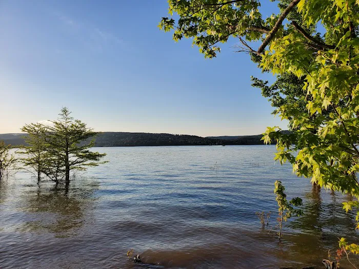 Devils Fork Recreation Area Picture 4