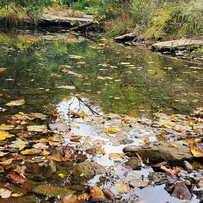 Sammy's Creekside RV Park Picture 6