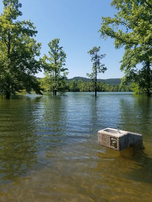 Cove Creek Recreation Area & Campground Picture 5