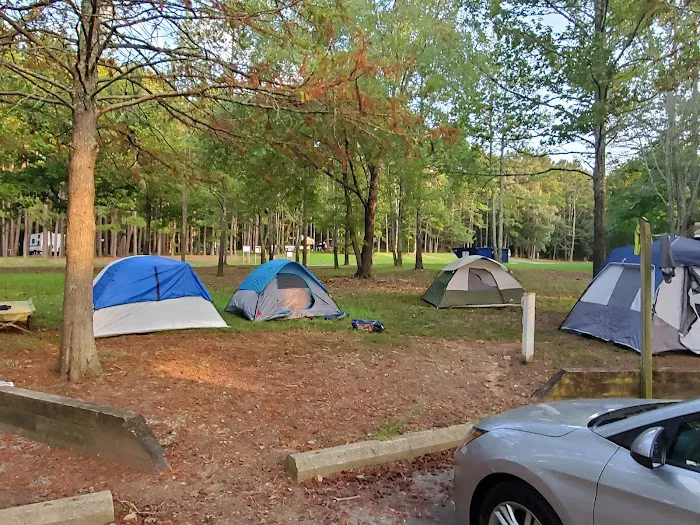 Cove Creek Recreation Area & Campground Picture 7