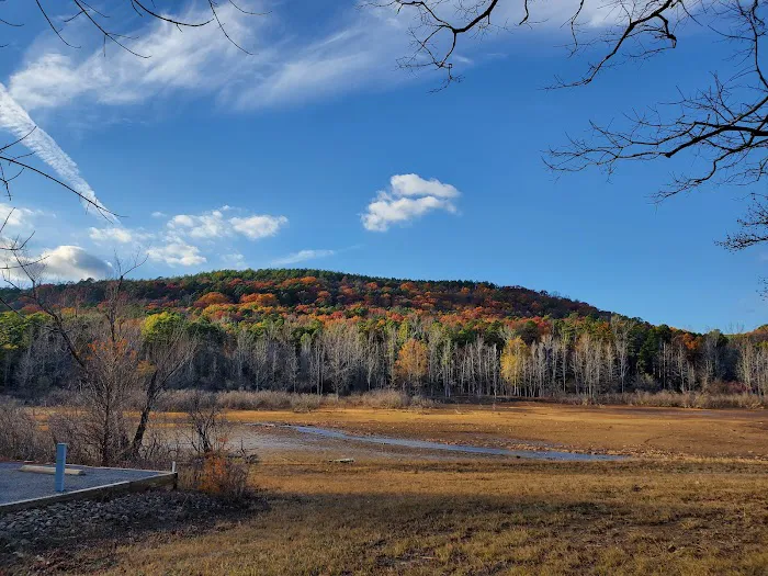 Cove Creek Recreation Area & Campground Picture 10
