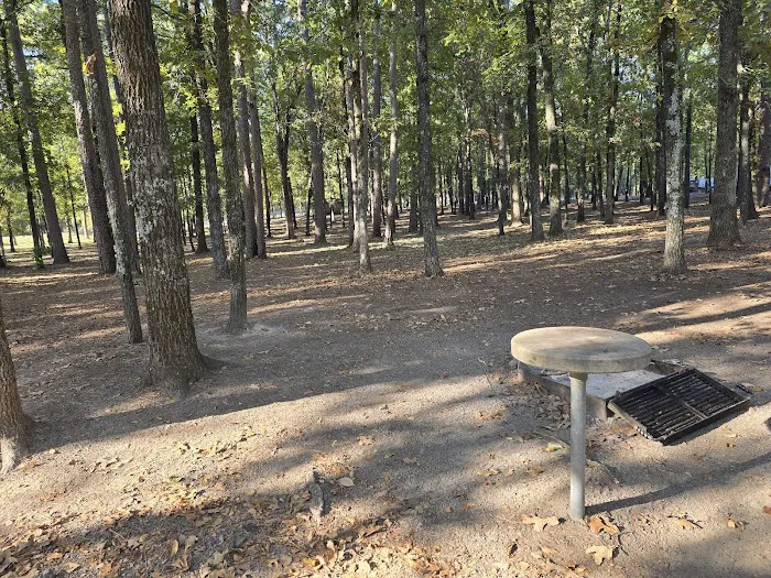 Dam Site Campground Picture 2