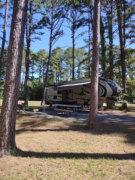 Dam Site Campground Picture 9