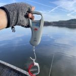 US Army Corps of Engineers - Greers Ferry