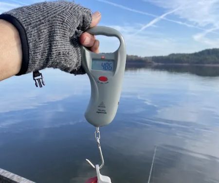 US Army Corps of Engineers - Greers Ferry