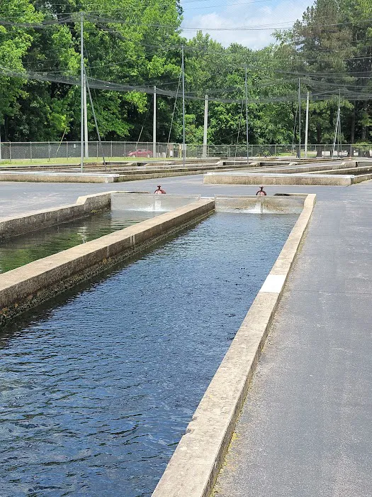 John F. Kennedy Park Campground Picture 3