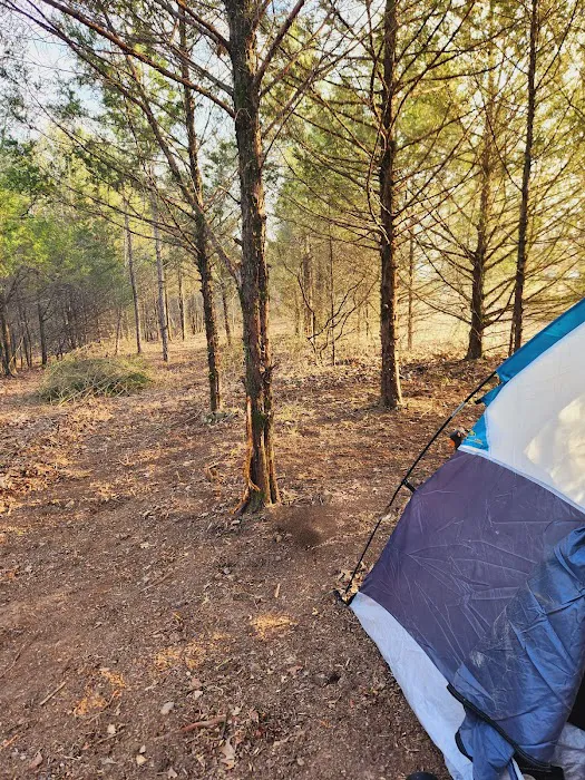 Hidden Springs Camping Retreat Picture 5