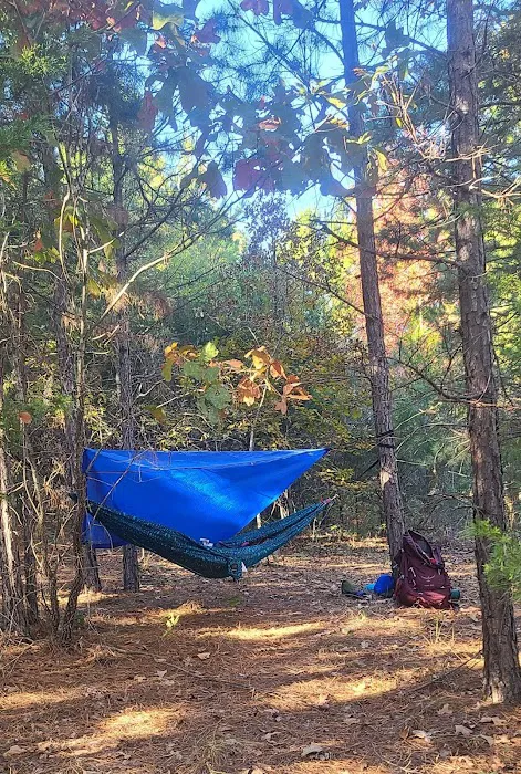 Hidden Springs Camping Retreat Picture 4