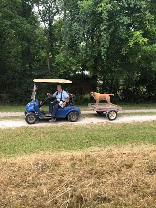 Gilbert RV Campground & Cabins Picture 6