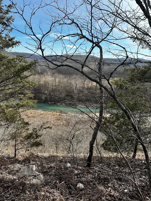 Gilbert RV Campground & Cabins Picture 2