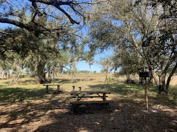 Northern Boundary/Pine Island Slough Campsite Picture 1
