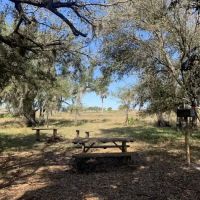 Northern Boundary/Pine Island Slough Campsite ico