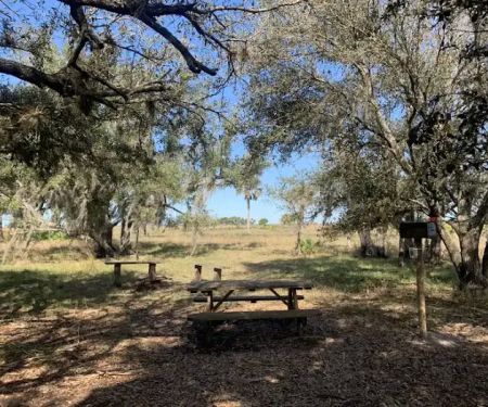 Northern Boundary/Pine Island Slough Campsite