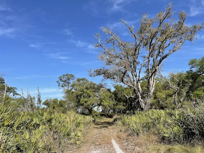 Tick Island Slough Campsite Picture 2