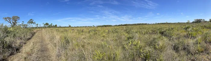 Tick Island Slough Campsite Picture 1