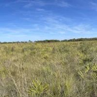 Tick Island Slough Campsite ico