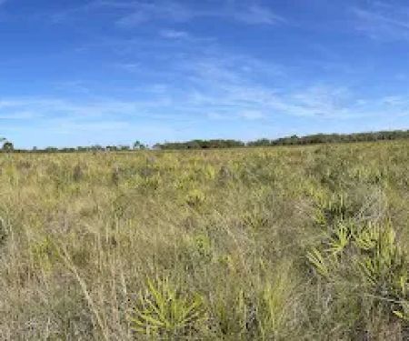 Tick Island Slough Campsite