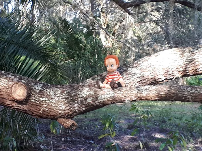 Town of KICCO Campsite Picture 7