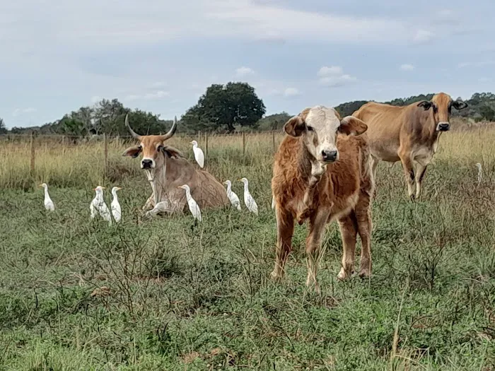 Town of KICCO Campsite Picture 2