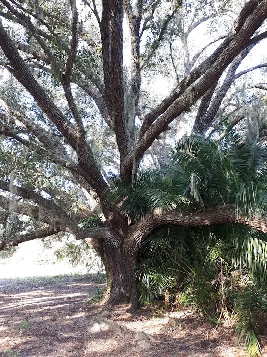 Town of KICCO Campsite Picture 9