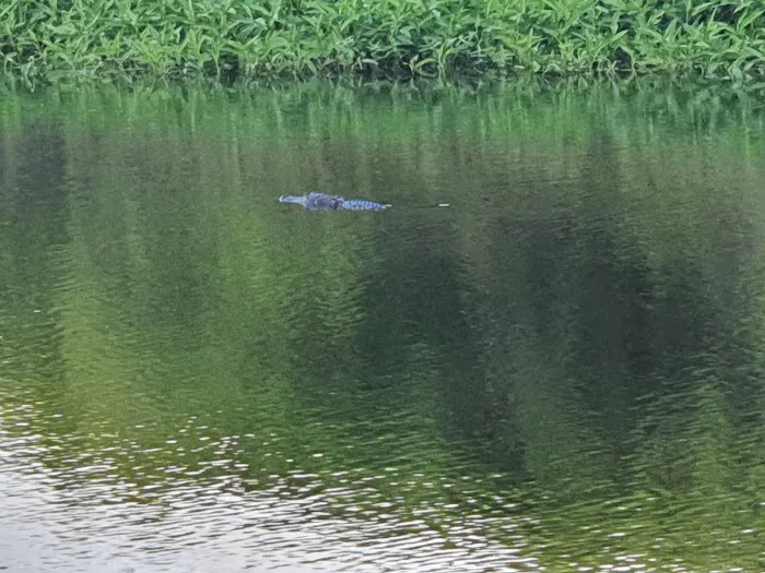 Town of KICCO Campsite Picture 10