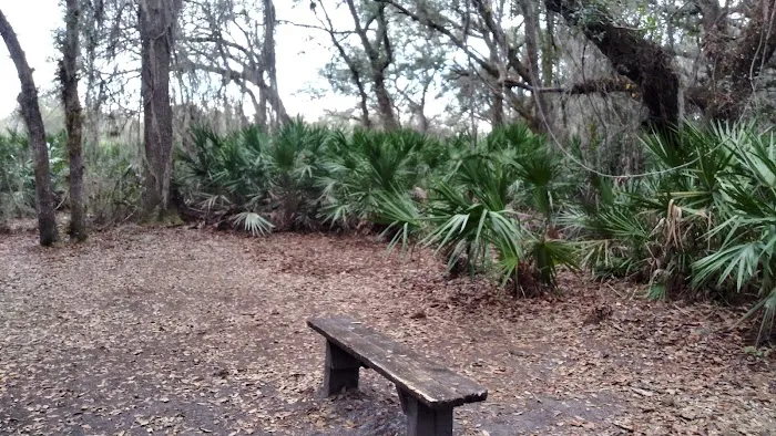 KICCO - Rattlesnake Hammock Campsite Picture 1