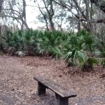 KICCO - Rattlesnake Hammock Campsite