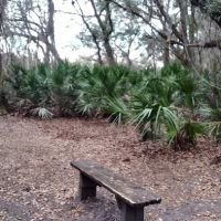 KICCO - Rattlesnake Hammock Campsite ico