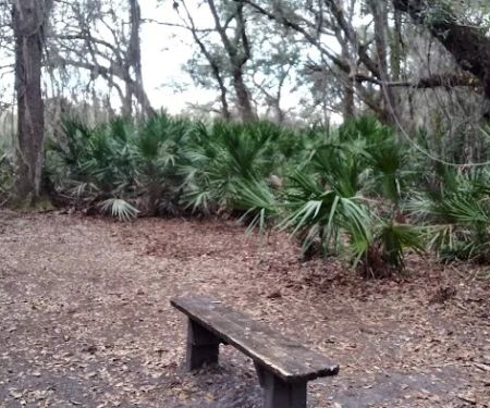 KICCO - Rattlesnake Hammock Campsite