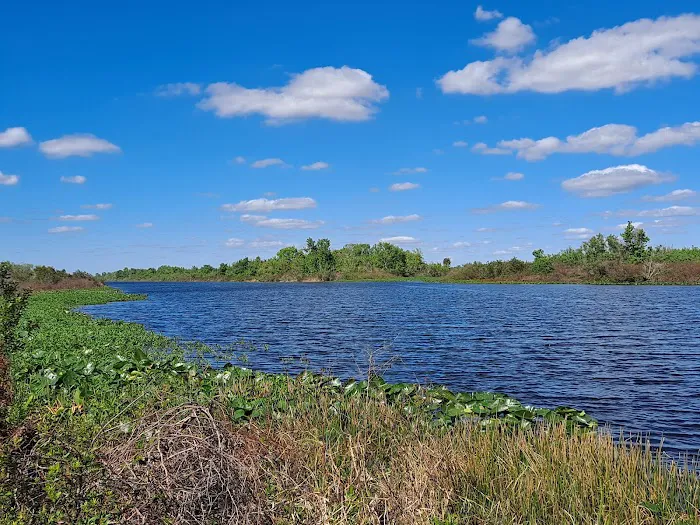 KICCO - Rattlesnake Hammock Campsite Picture 5