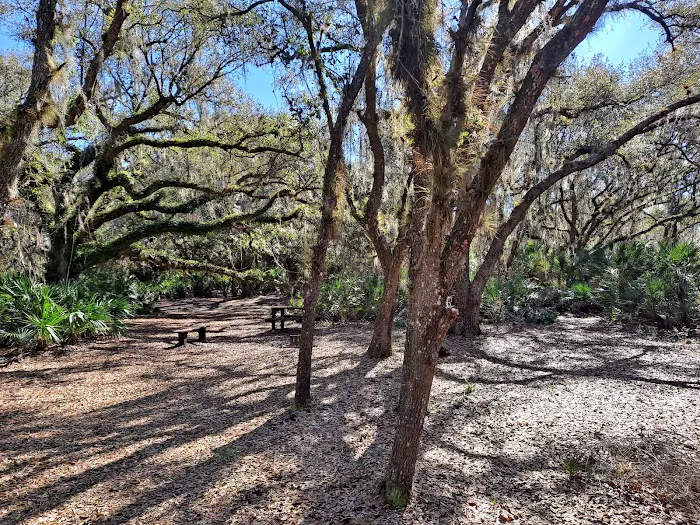 KICCO - Rattlesnake Hammock Campsite Picture 6