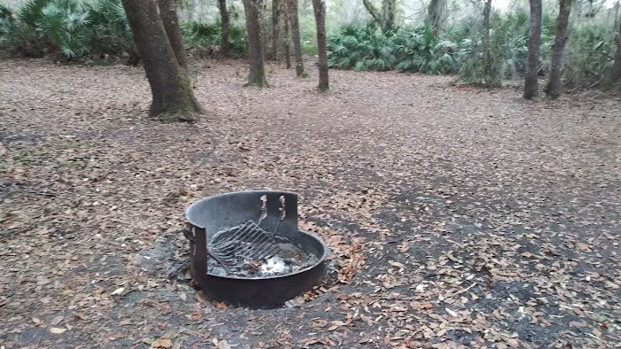 KICCO - Rattlesnake Hammock Campsite Picture 3