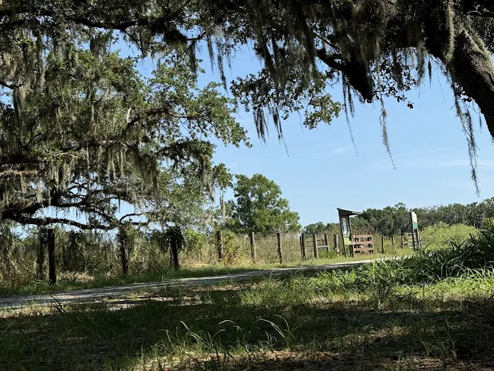 Micco Landing Campsite Picture 3