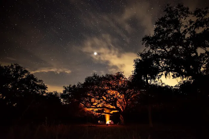 Micco Landing Campsite Picture 1