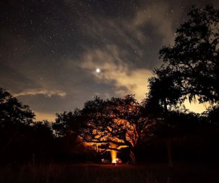 Micco Landing Campsite