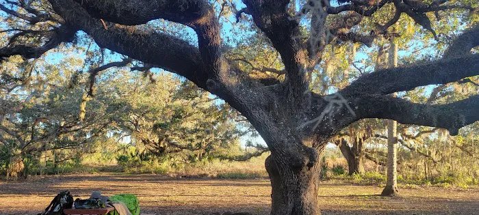 Micco Landing Campsite Picture 4