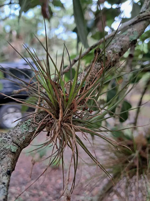 Chandler Slough West Campsite Picture 3