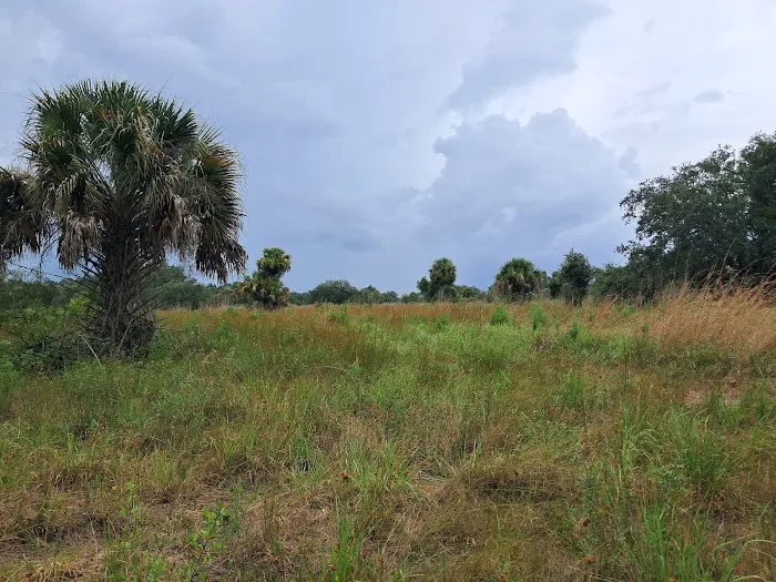 Chandler Slough West Campsite Picture 1