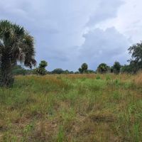 Chandler Slough West Campsite ico